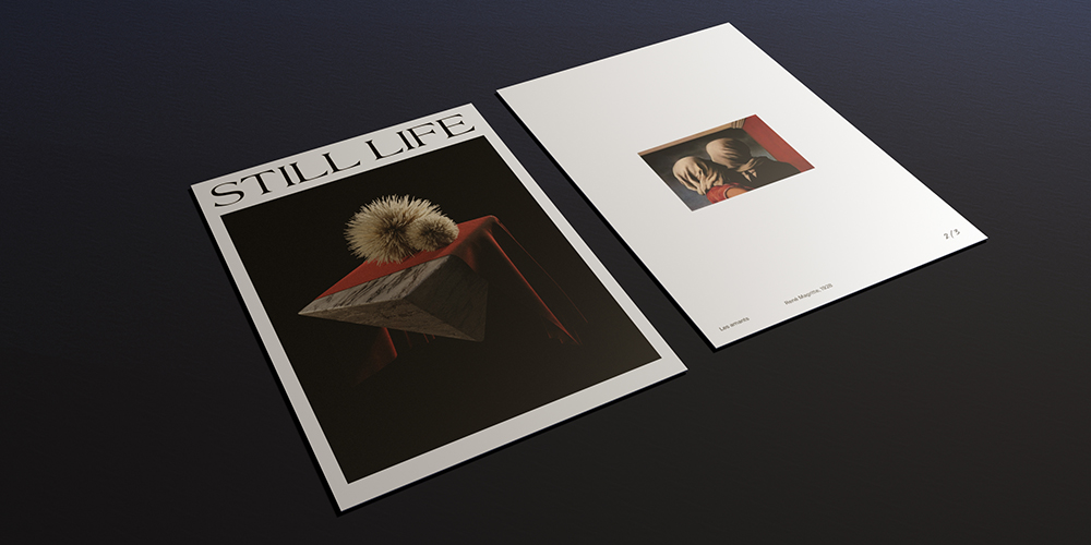 dsorder_1_stilllife