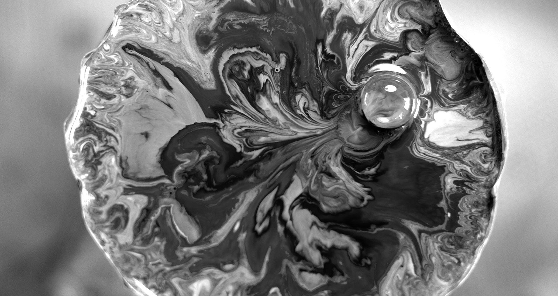 heart_dsorder_process04